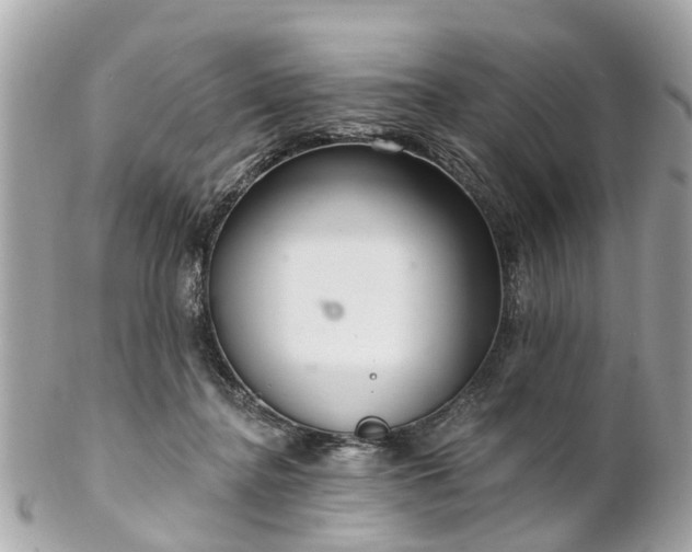 X0000102500364200808151527