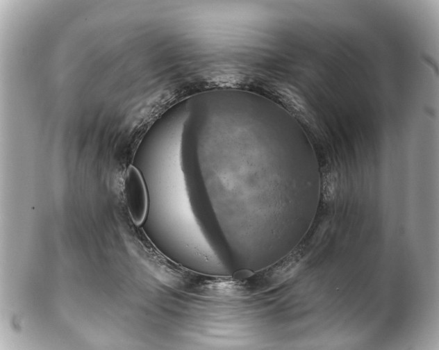 X0000102500365200808151527