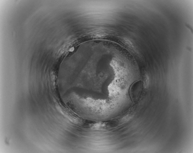 X0000102500366200808151527