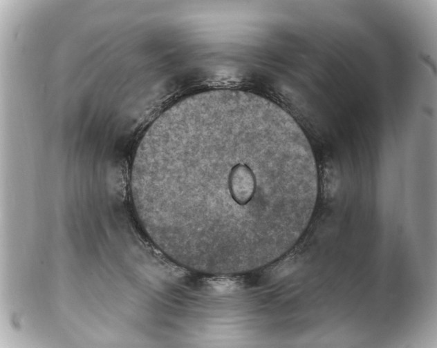 X0000102500370200808151527