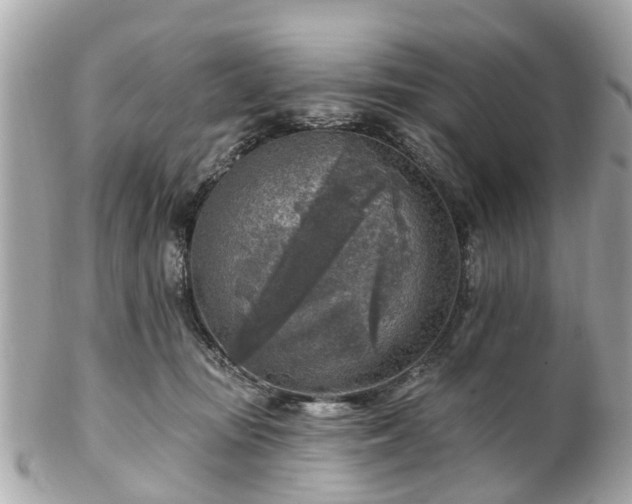 X0000102500371200808151527