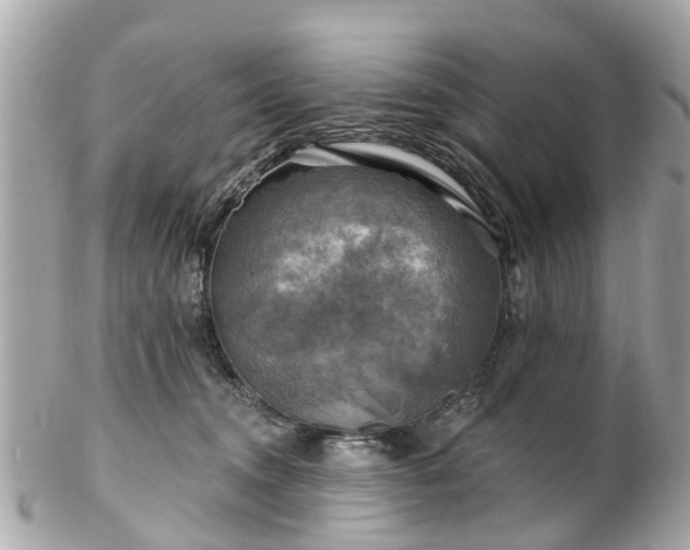 X0000102500372200808151527