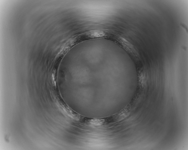 X0000102500373200808151527