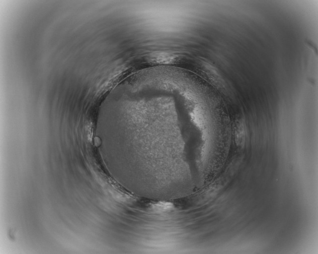 X0000102500374200808151527