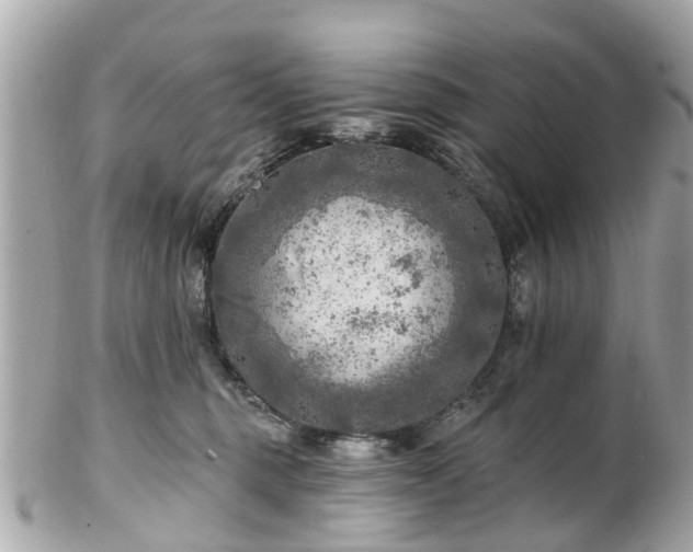 X0000102500375200808151527