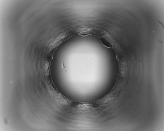 X0000102500378200808151527