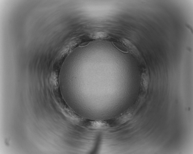 X0000102500380200808151527