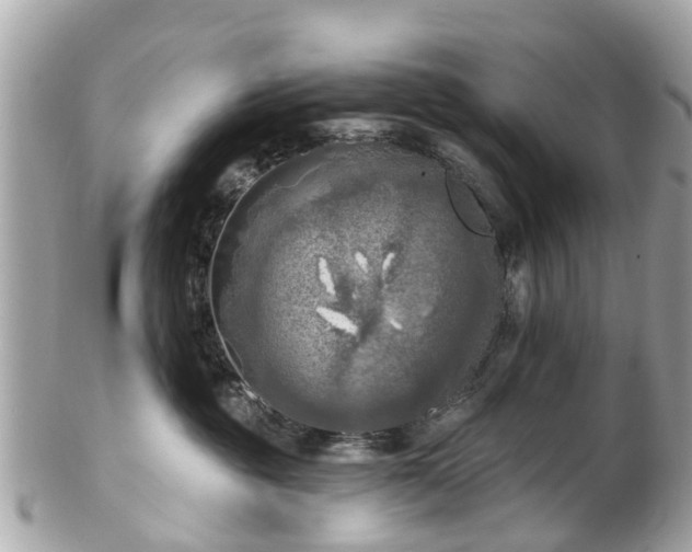 X0000102500381200808151527