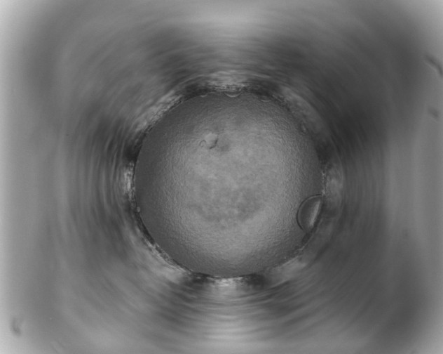 X0000102500382200808151527