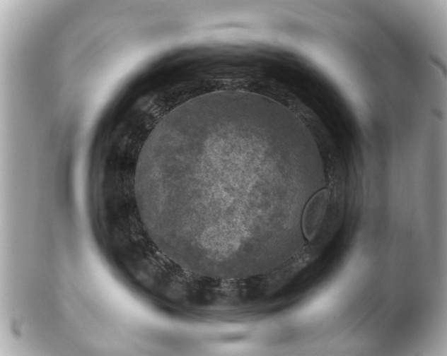 X0000102500383200808151527