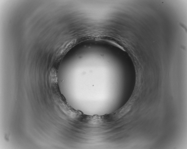 X0000102500384200808151527