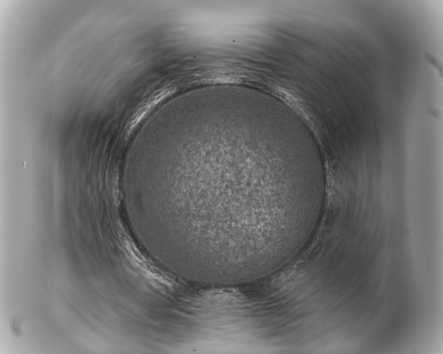 X0000102500386200808151526