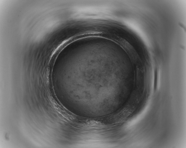 X0000102500387200808151526