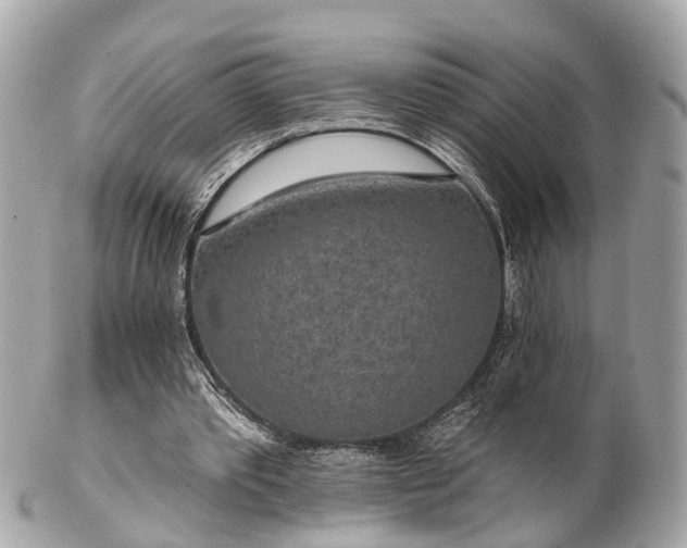 X0000102500389200808151526