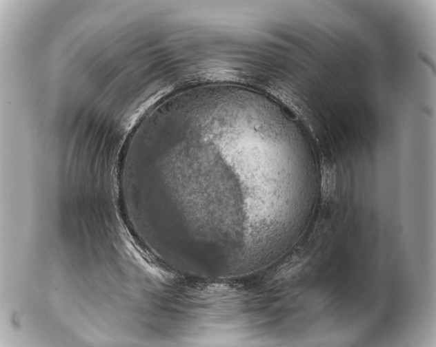 X0000102500390200808151526