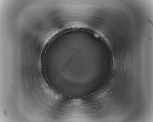 X0000102500391200808151526