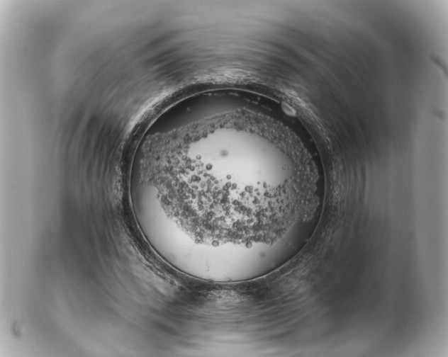 X0000102500392200808151526