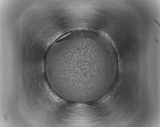 X0000102500393200808151526