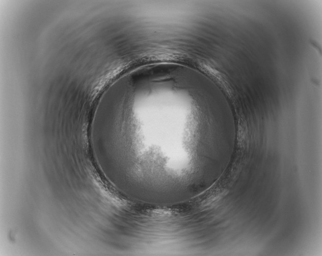 X0000102500394200808151526