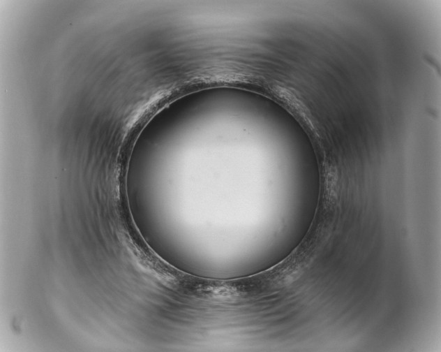 X0000102500395200808151526