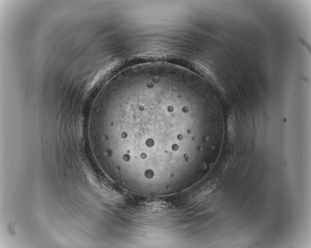 X0000102500396200808151526