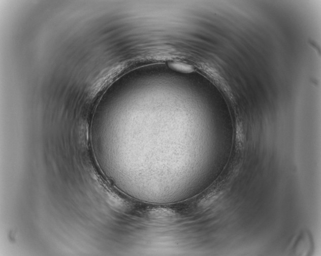 X0000102500397200808151526