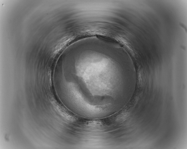 X0000102500398200808151526