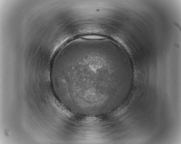 X0000102500399200808151526