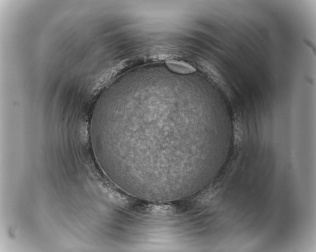 X0000102500401200808151526