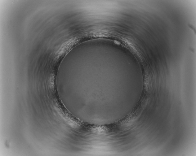 X0000102500402200808151526