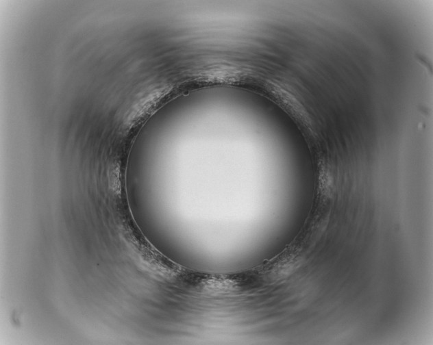 X0000102500403200808151526