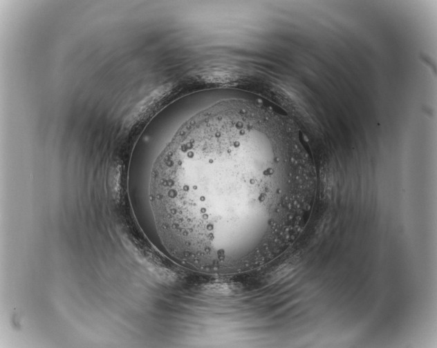 X0000102500404200808151526