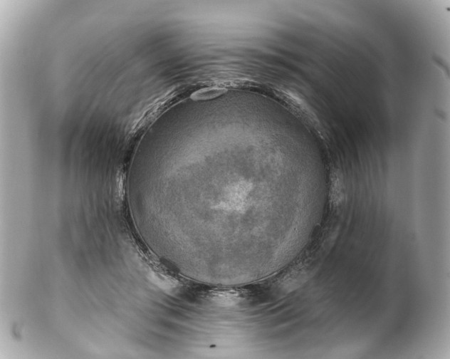 X0000102500405200808151526