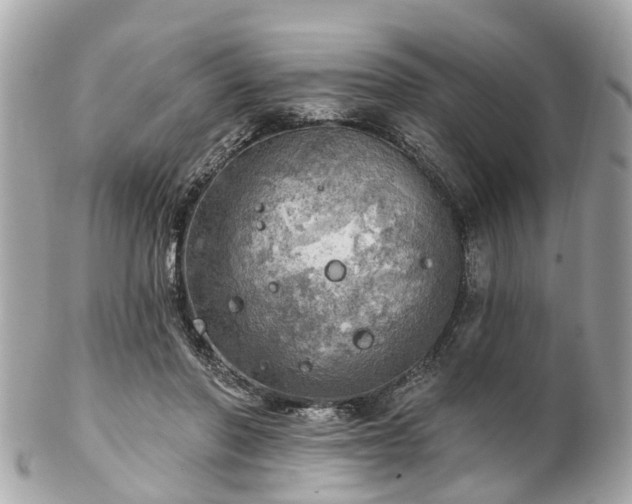 X0000102500406200808151526