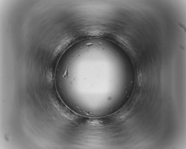 X0000102500407200808151526