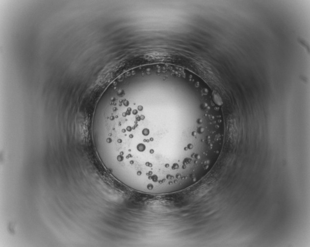 X0000102500408200808151526