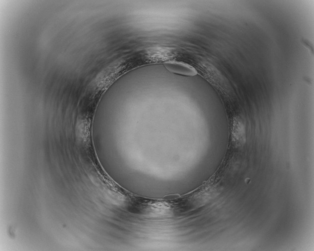 X0000102500409200808151526