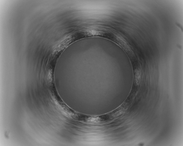 X0000102500410200808151526