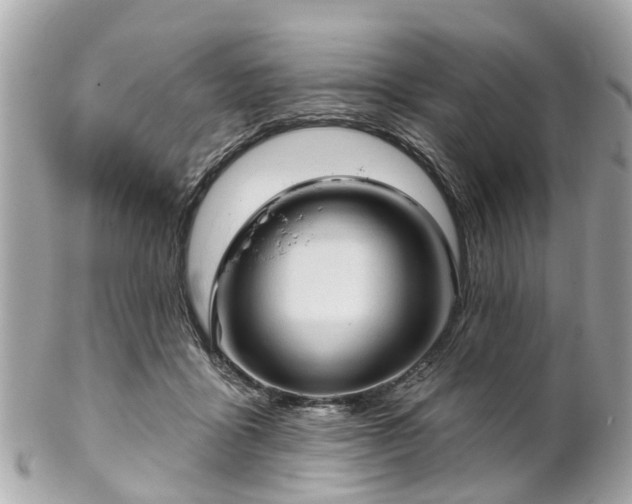 X0000102500411200808151526