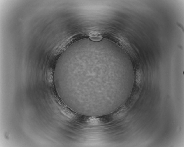 X0000102500413200808151526