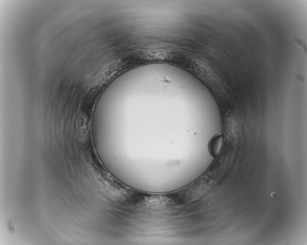 X0000102500414200808151526