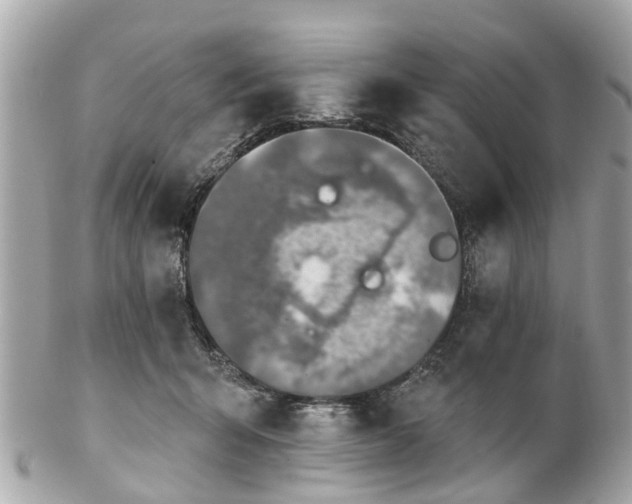 X0000102500415200808151526