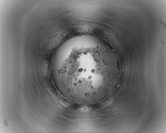 X0000102500416200808151526