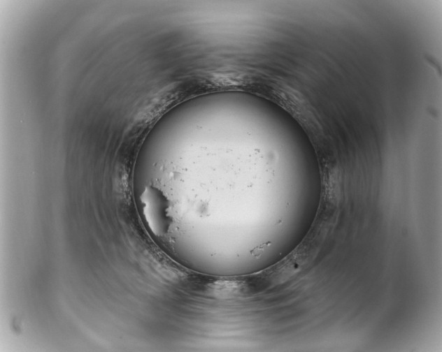 X0000102500418200808151526