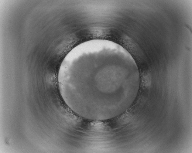 X0000102500419200808151526