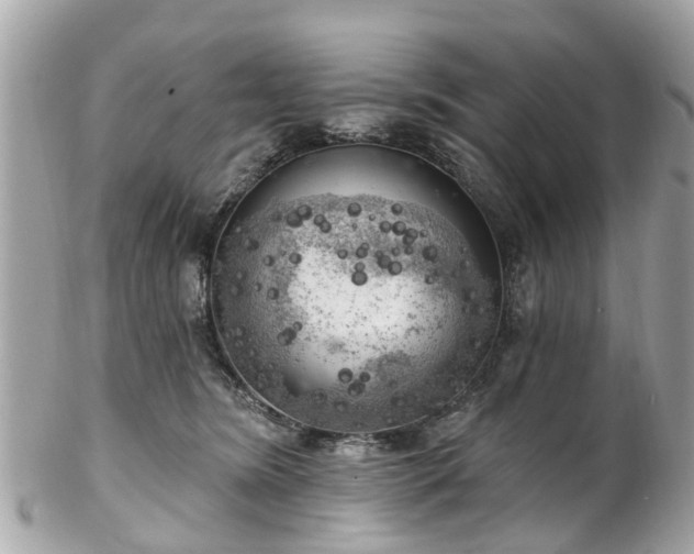 X0000102500420200808151526