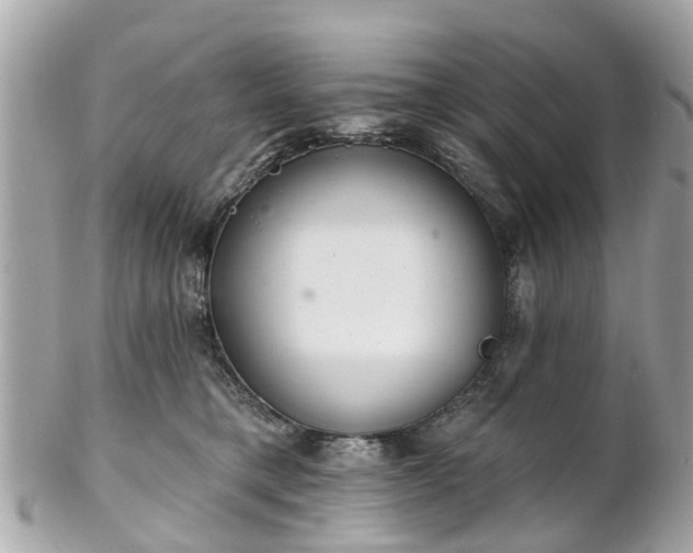 X0000102500421200808151526