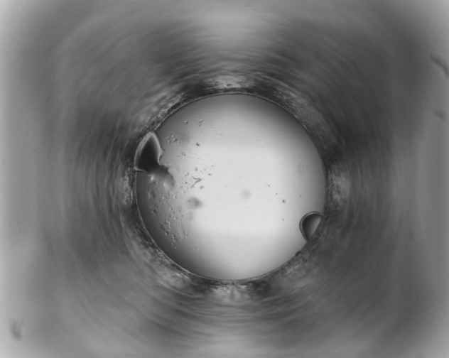 X0000102500422200808151526