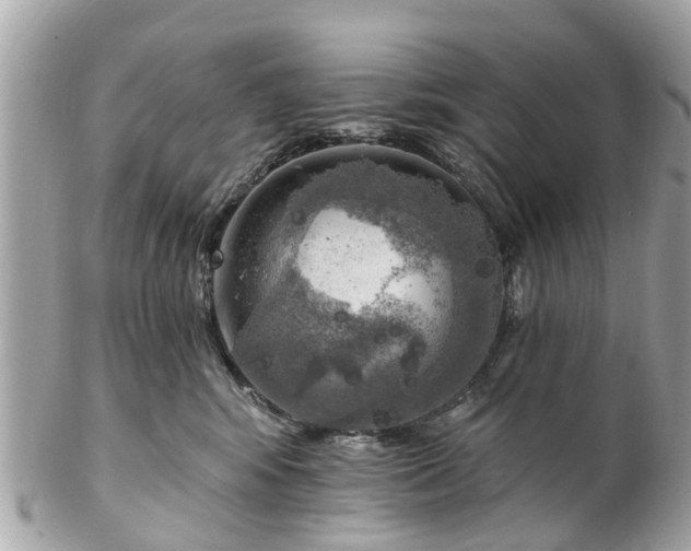 X0000102500424200808151526