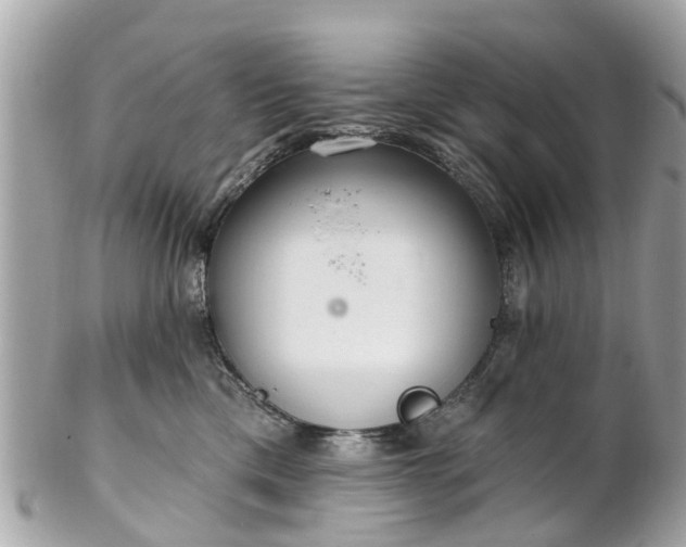 X0000102500425200808151526